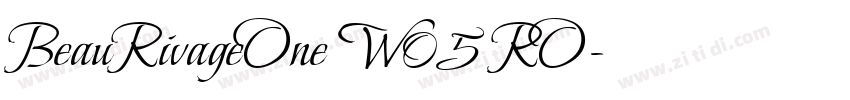 BeauRivageOne W05 RO字体转换